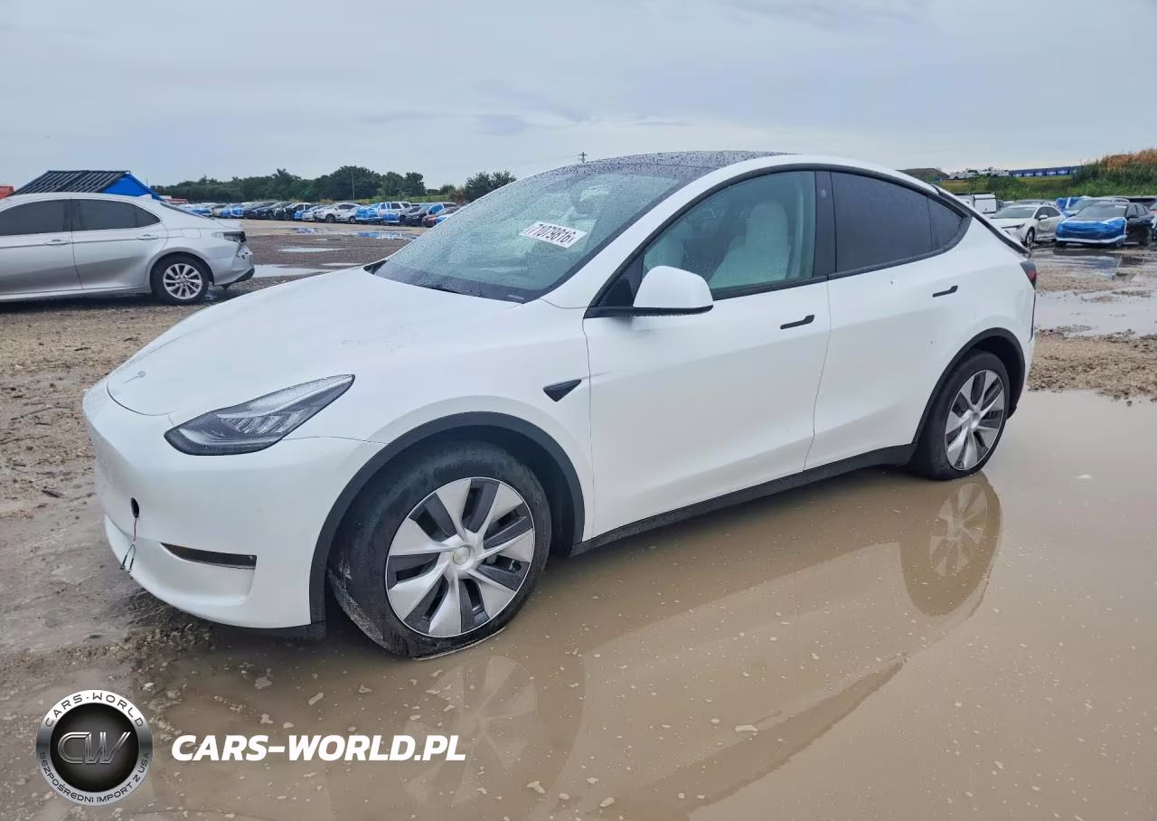2023 Tesla Model Y VIN:7SAYGDEE9PA108039 - 1