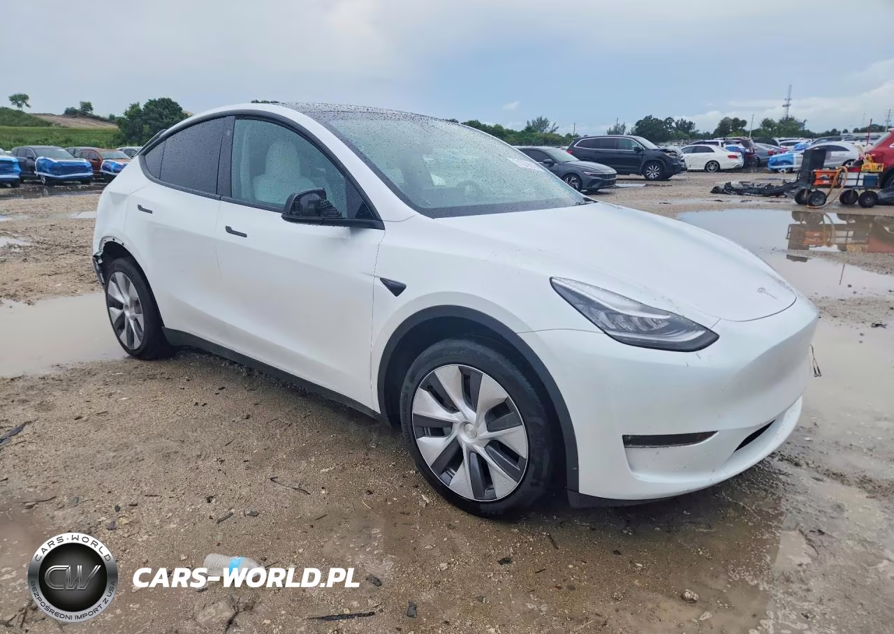 2023 Tesla Model Y VIN:7SAYGDEE9PA108039 - 4
