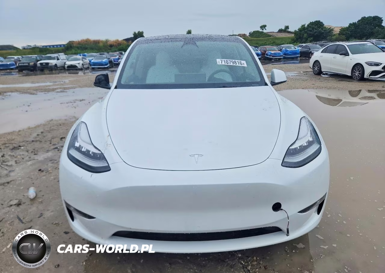 2023 Tesla Model Y VIN:7SAYGDEE9PA108039 - 5