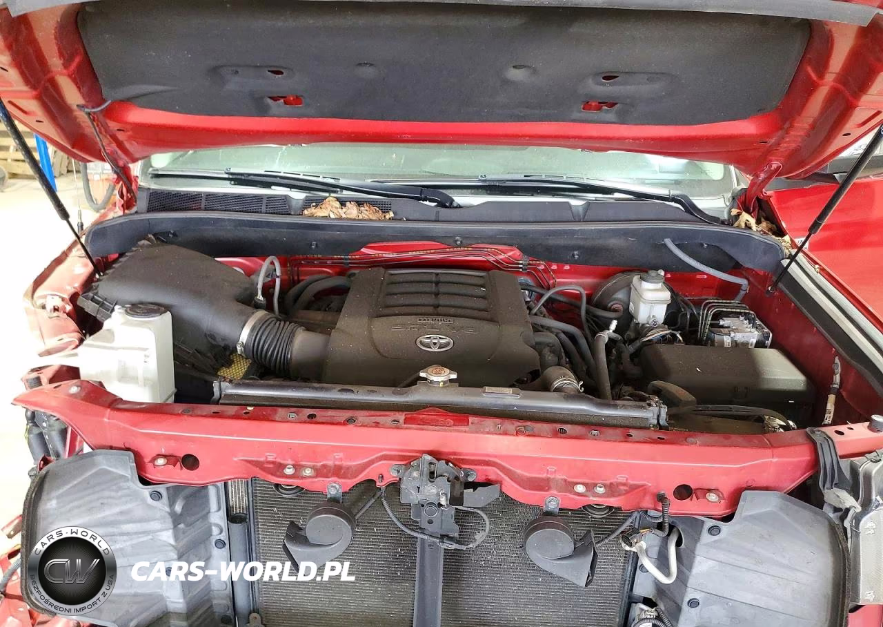2019 Toyota Tundra Platinum VIN:5TFAY5F17KX845674 - 11