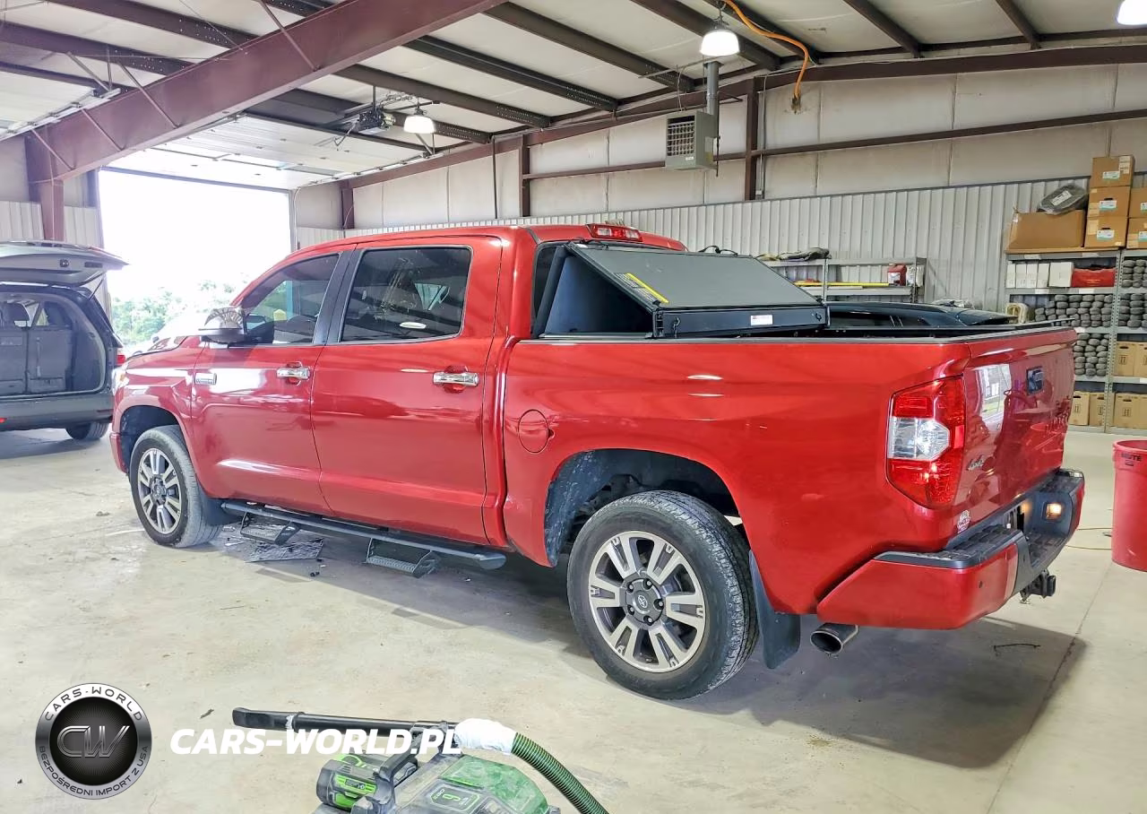 2019 Toyota Tundra Platinum VIN:5TFAY5F17KX845674 - 2