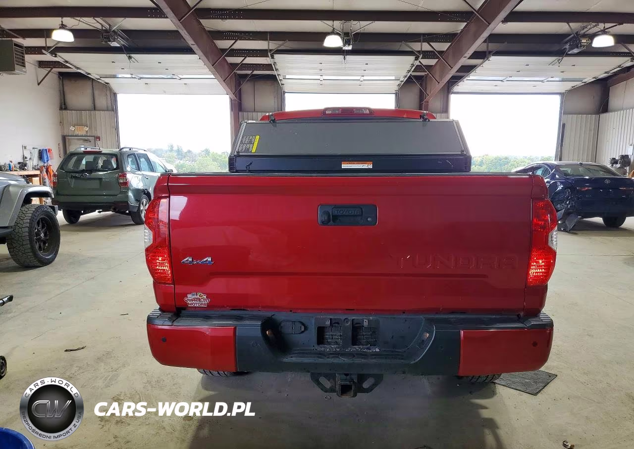 2019 Toyota Tundra Platinum VIN:5TFAY5F17KX845674 - 6