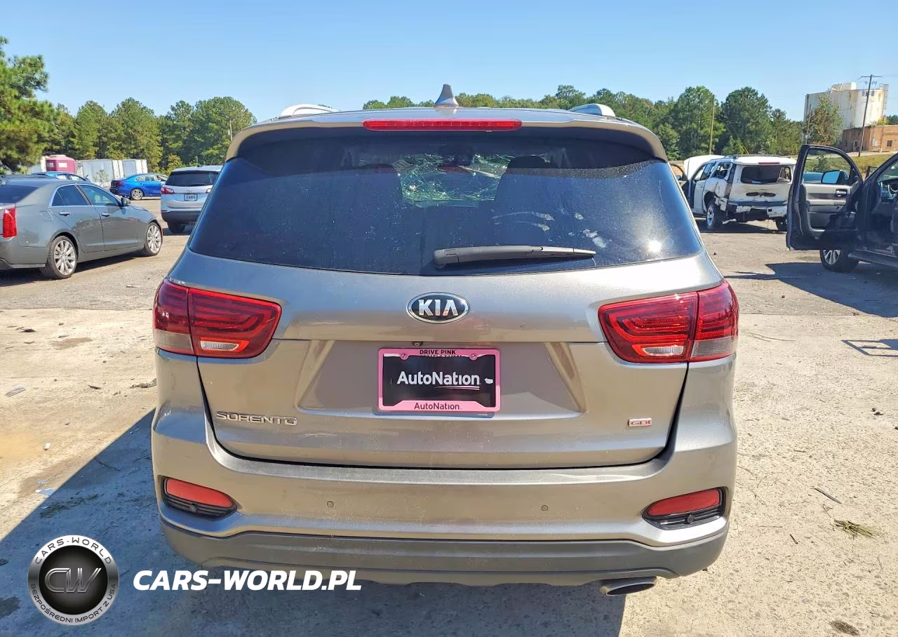 2019 Kia Sorento Lx VIN:5XYPG4A37KG546401 - 6