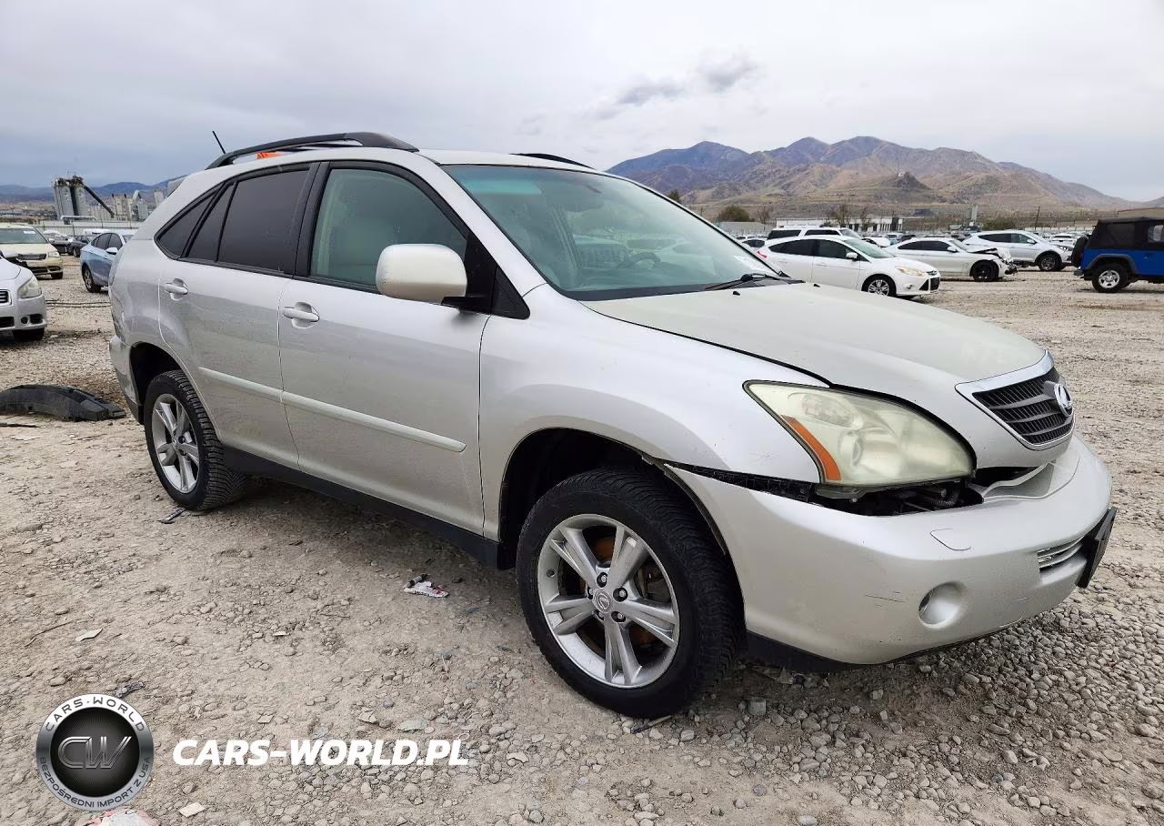 2006 Lexus Rx 400 VIN:JTJHW31U362004574 - 4