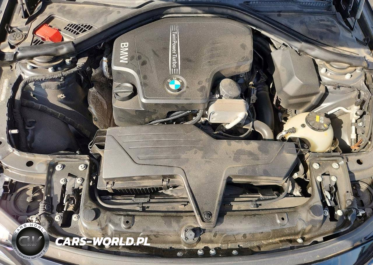 2016 BMW 320 Xi VIN:WBA8E5G56GNT93970 - 11