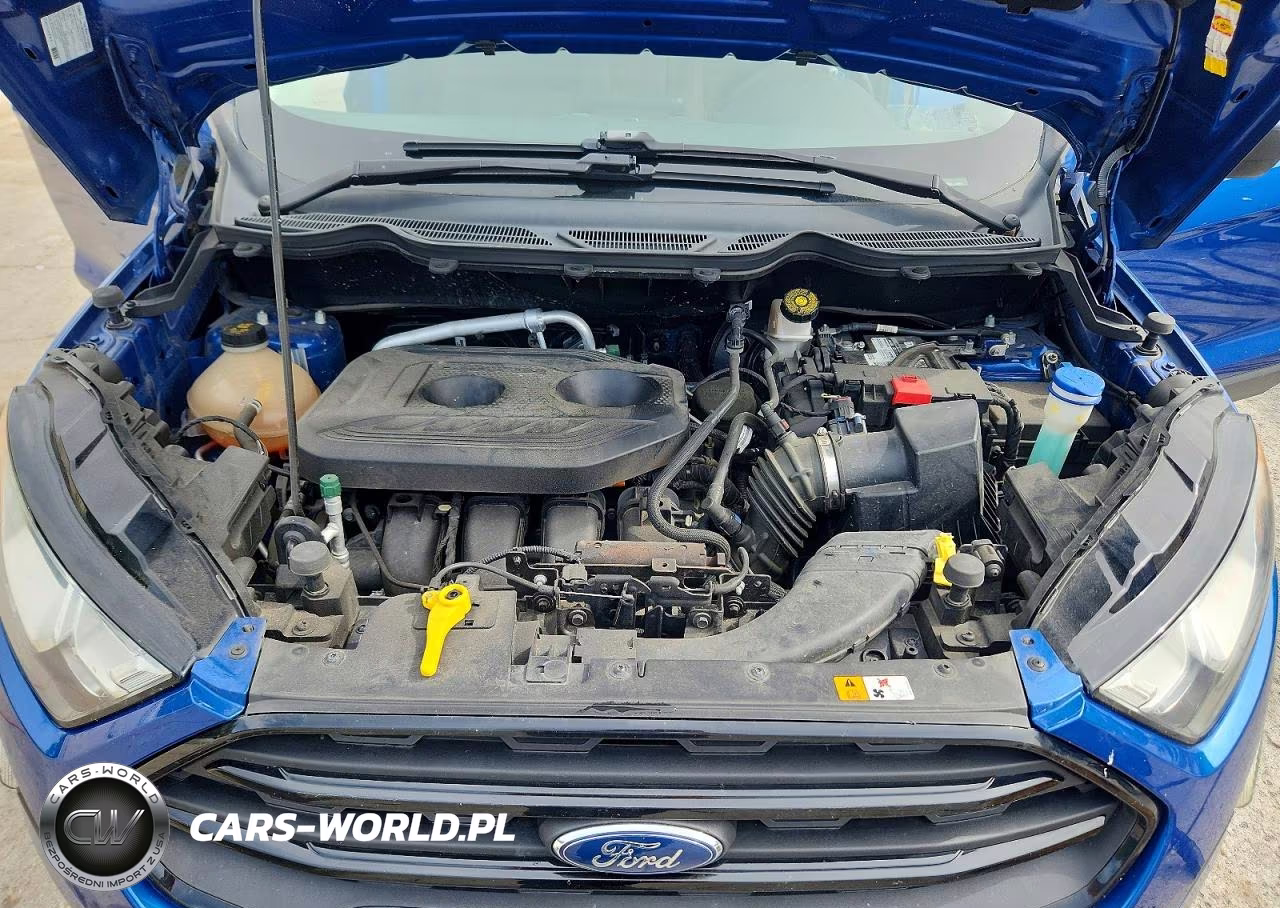 2021 Ford Ecosport S VIN:MAJ6S3FL6MC402963 - 12