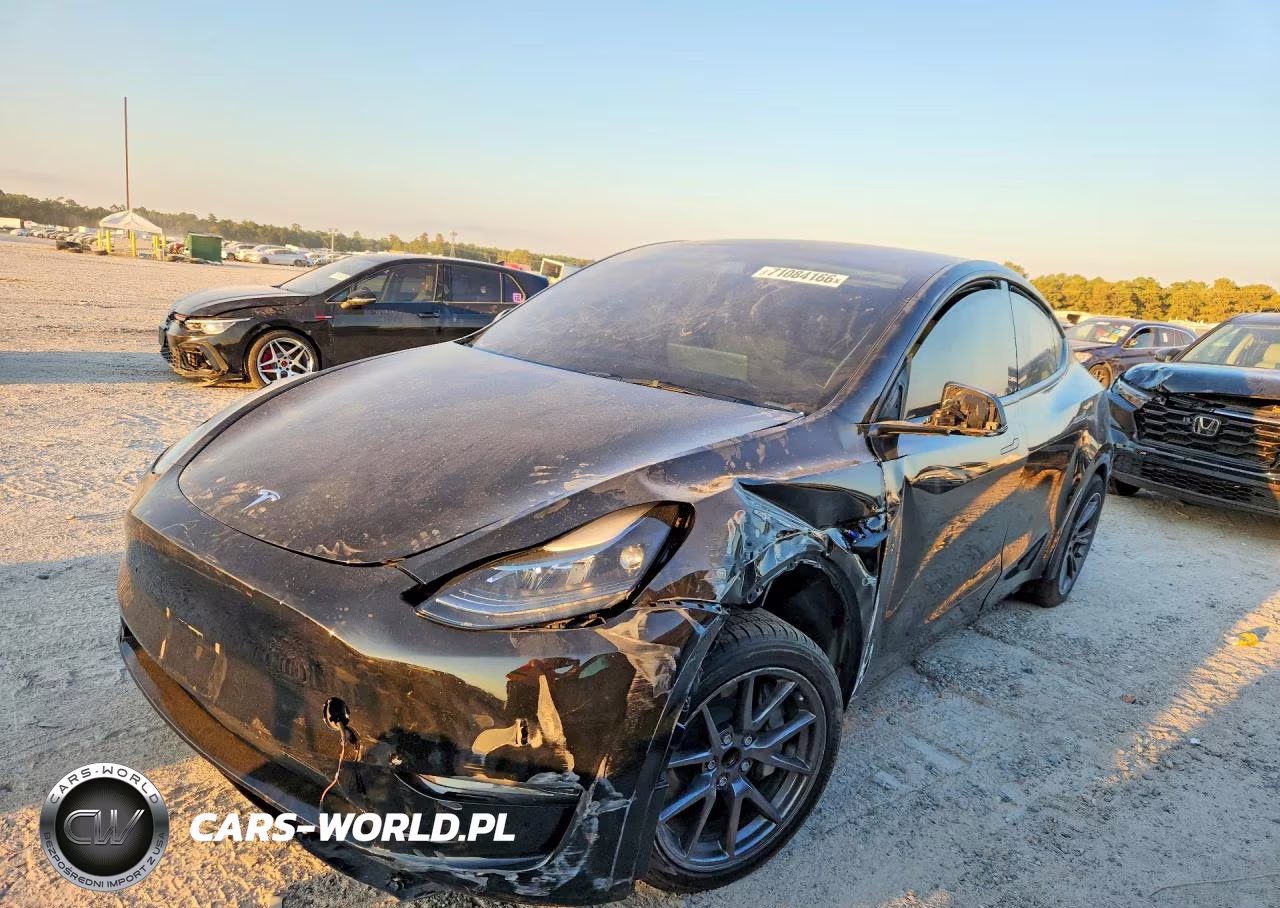 2025 Tesla Model Y