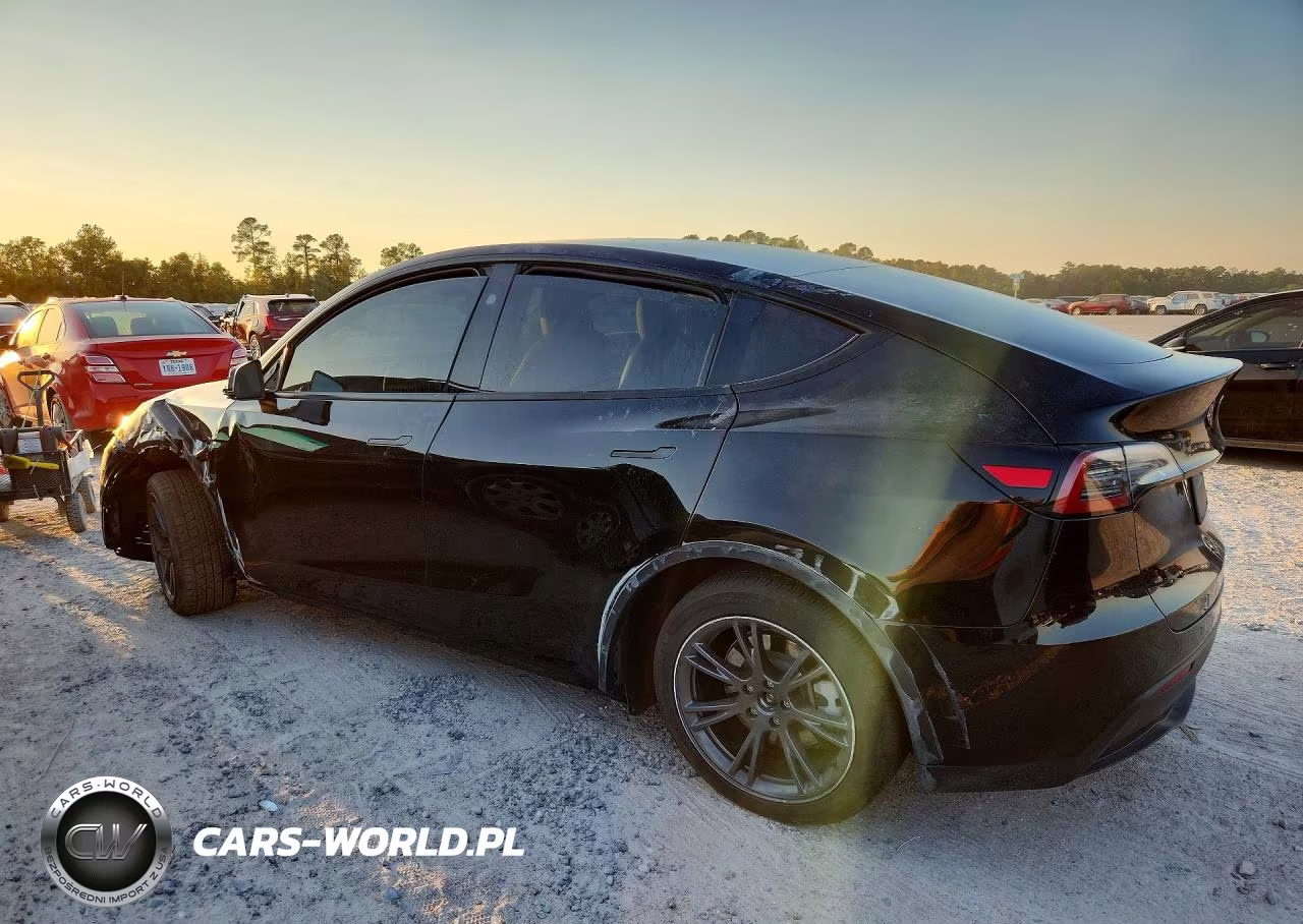 2025 Tesla Model Y VIN:7SAYGDED0SA375490 - 2