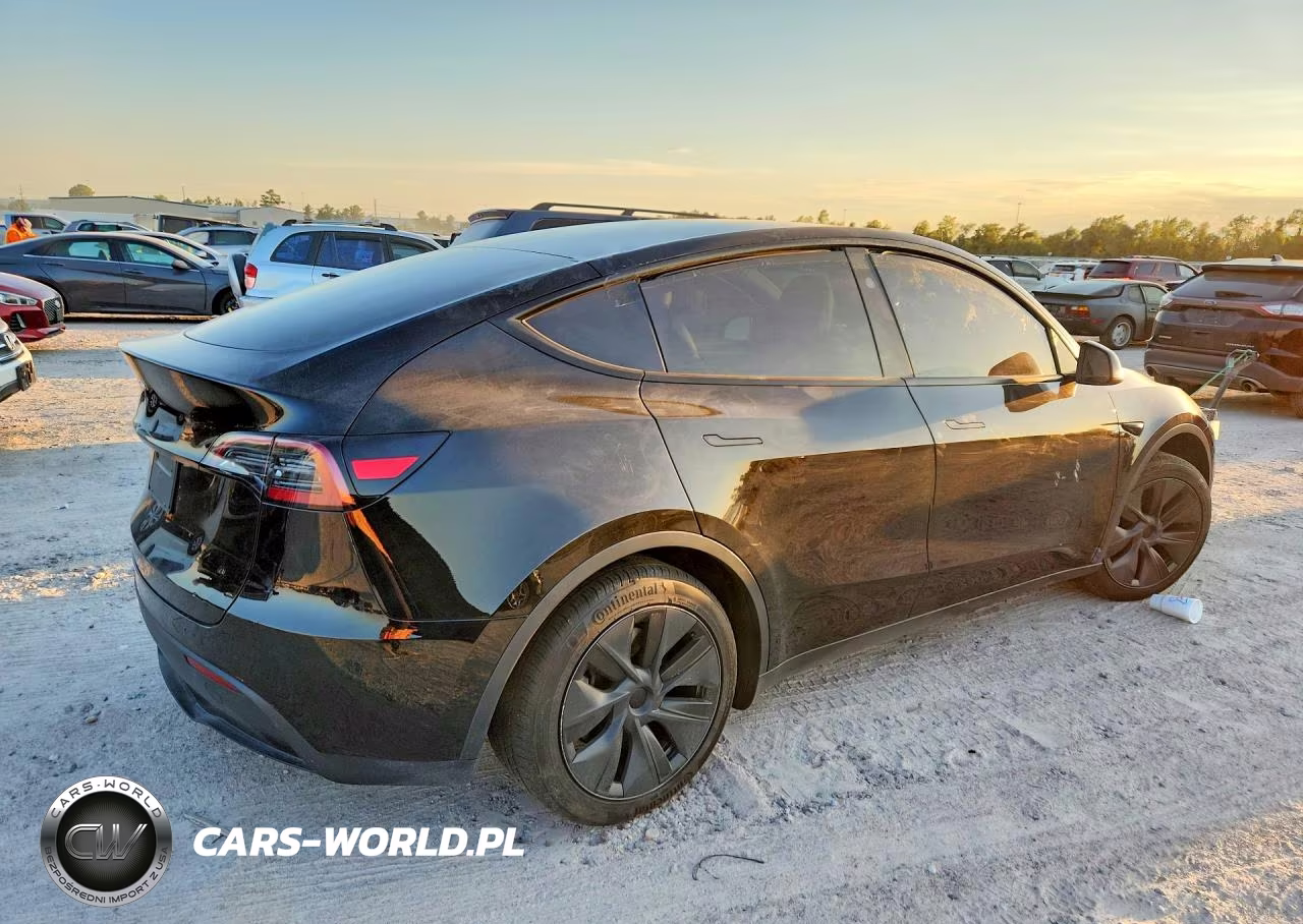2025 Tesla Model Y VIN:7SAYGDED0SA375490 - 3