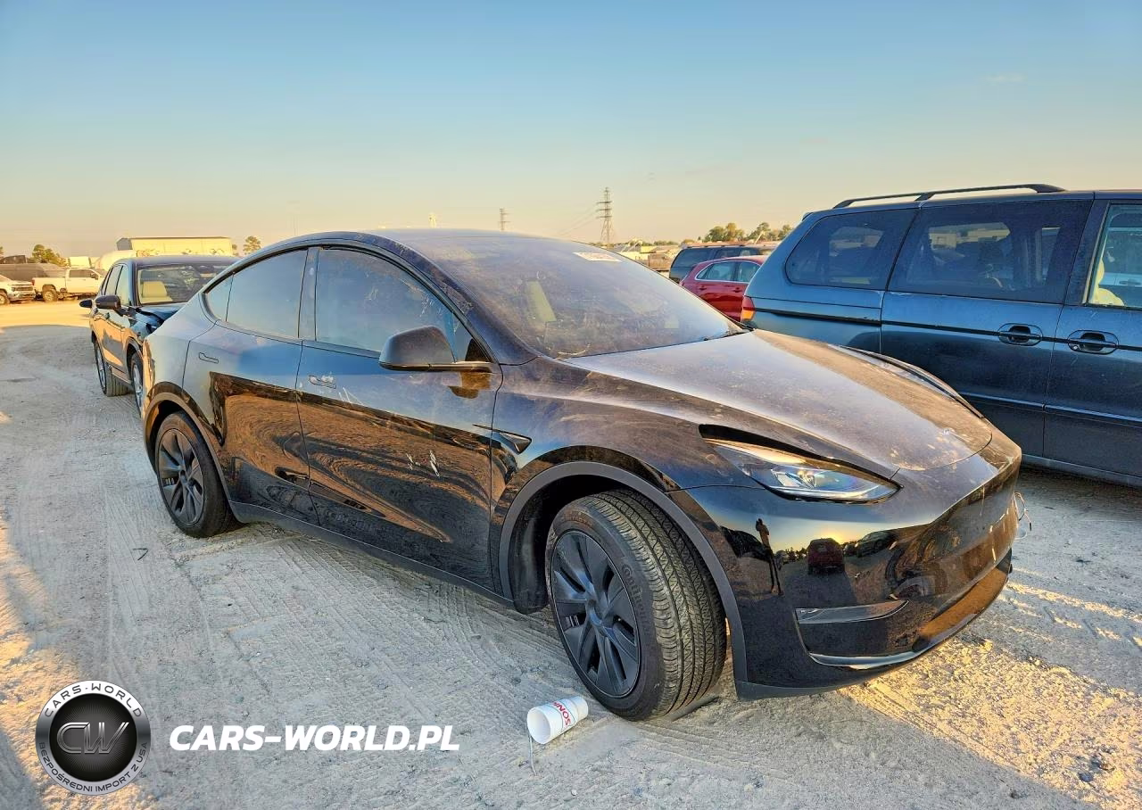 2025 Tesla Model Y VIN:7SAYGDED0SA375490 - 4