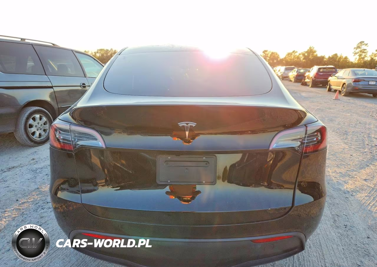 2025 Tesla Model Y VIN:7SAYGDED0SA375490 - 6