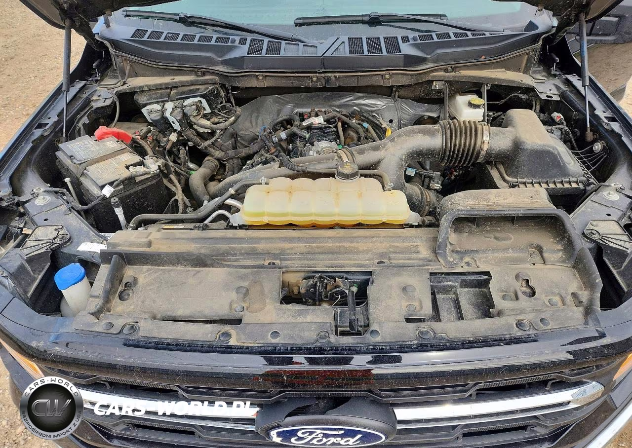 2025 Ford F150 Xlt VIN:1FTEW3LP0SKE16894 - 11