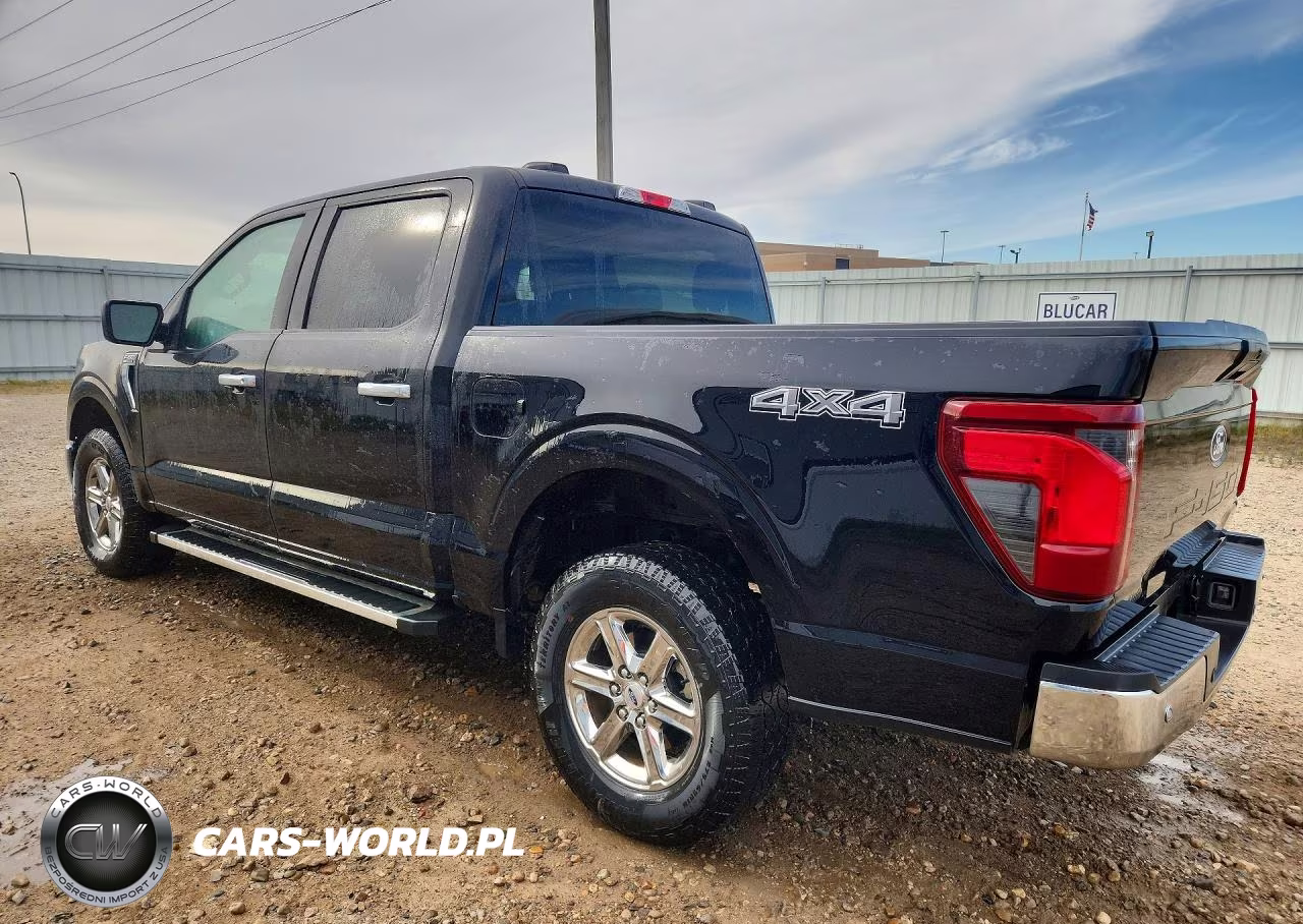 2025 Ford F150 Xlt VIN:1FTEW3LP0SKE16894 - 2