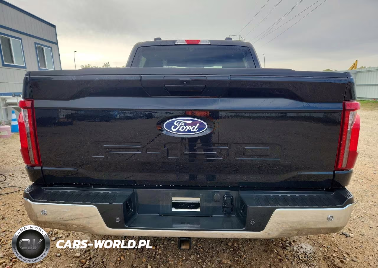 2025 Ford F150 Xlt VIN:1FTEW3LP0SKE16894 - 6