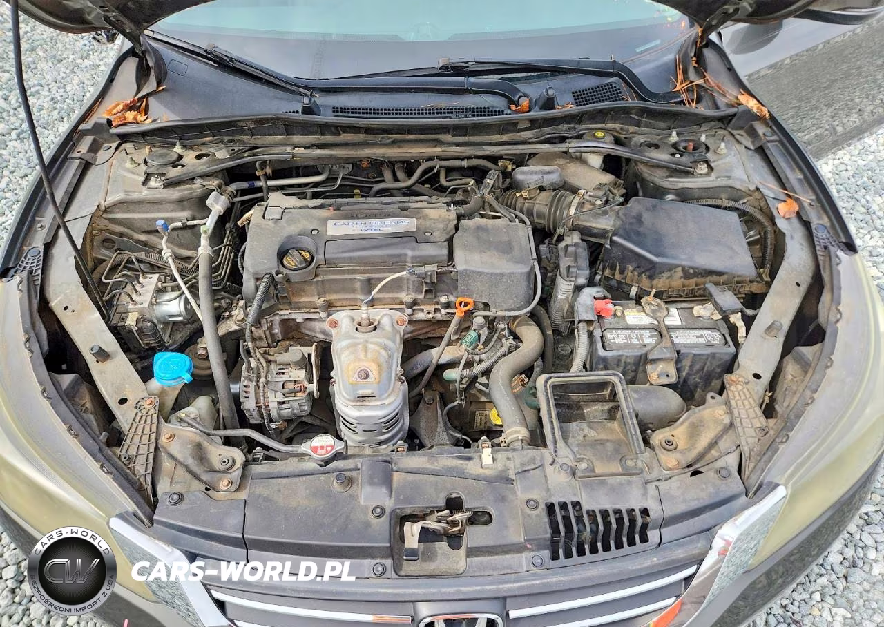 2014 Honda Accord Exl VIN:1HGCR2F87EA166269 - 11