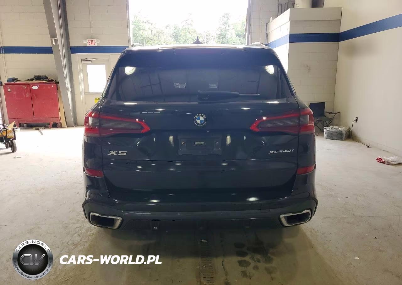 2019 BMW X5 xDrive40I VIN:5UXCR6C56KLK85820 - 6