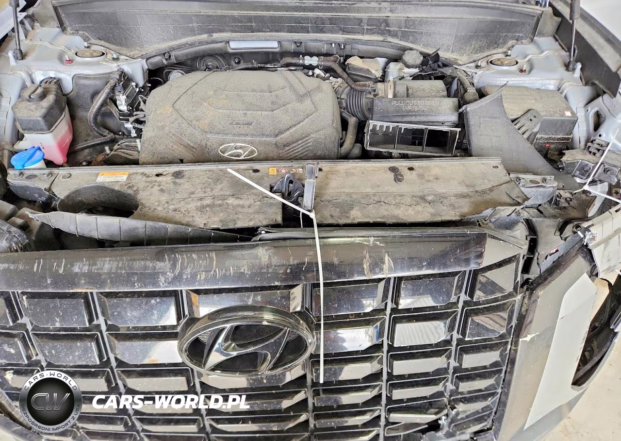 2025 Hyundai Palisade Sel VIN:KM8R24GE4SU901311 - 11