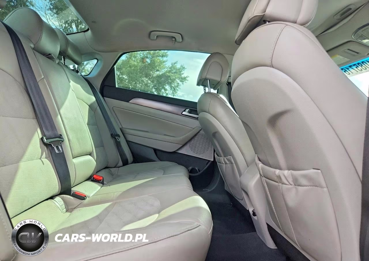 2016 Hyundai Sonata Sport VIN:5NPE34AF5GH370364 - 10