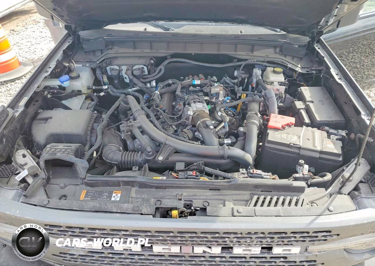 2024 Ford Bronco Badlands VIN:1FMEE9BP4RLB14032 - 11