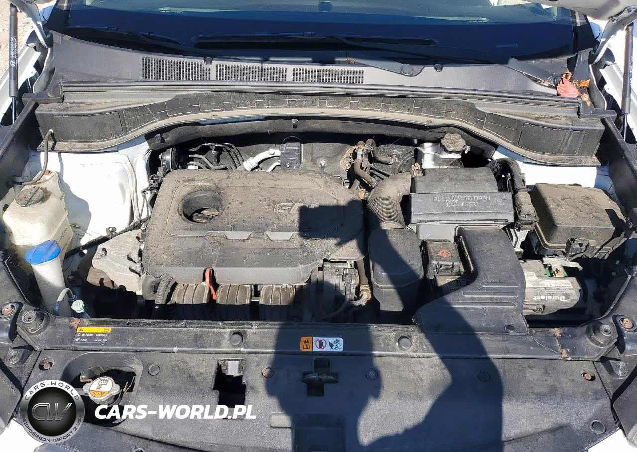 2017 Hyundai Santa Fe Sport 2.4L VIN:5NMZUDLB5HH012494 - 12