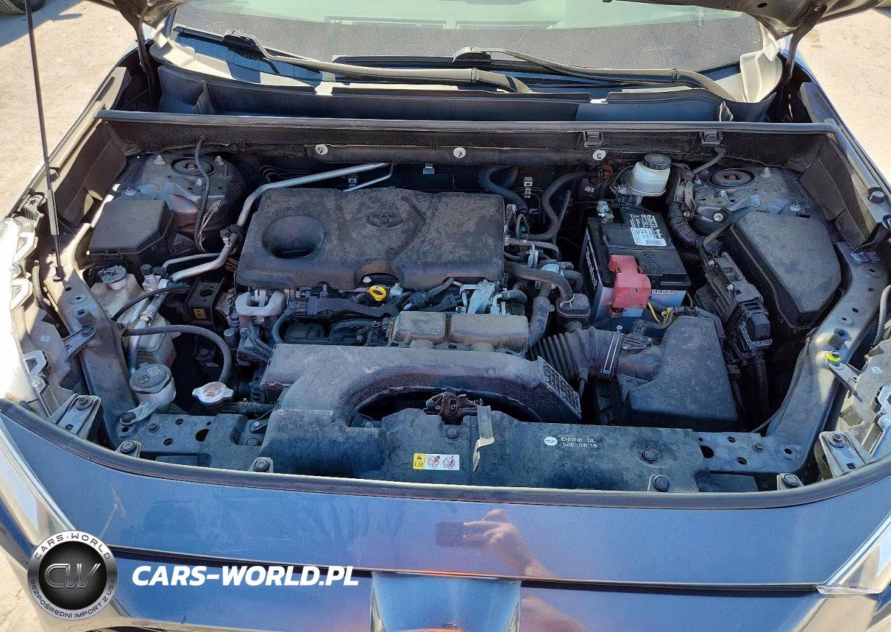 2019 Toyota Rav4 Xle VIN:JTMP1RFV5KD007184 - 12
