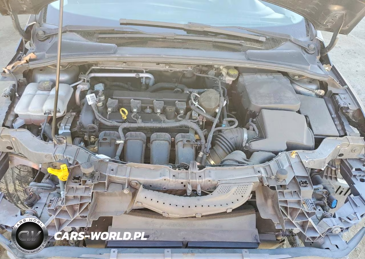 2016 Ford Focus Se VIN:1FADP3F27GL254634 - 11