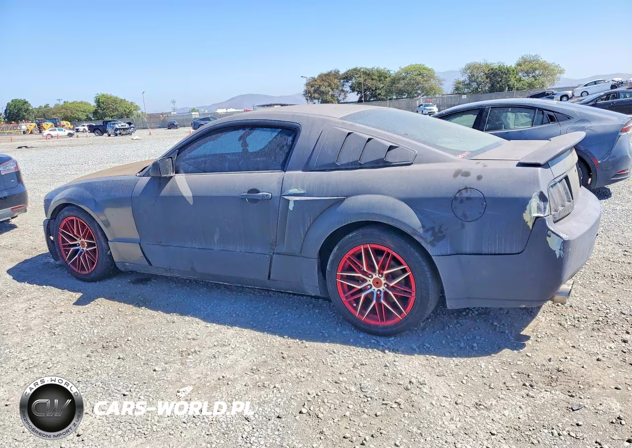2006 Ford Mustang VIN:1ZVFT80N965249336 - 2
