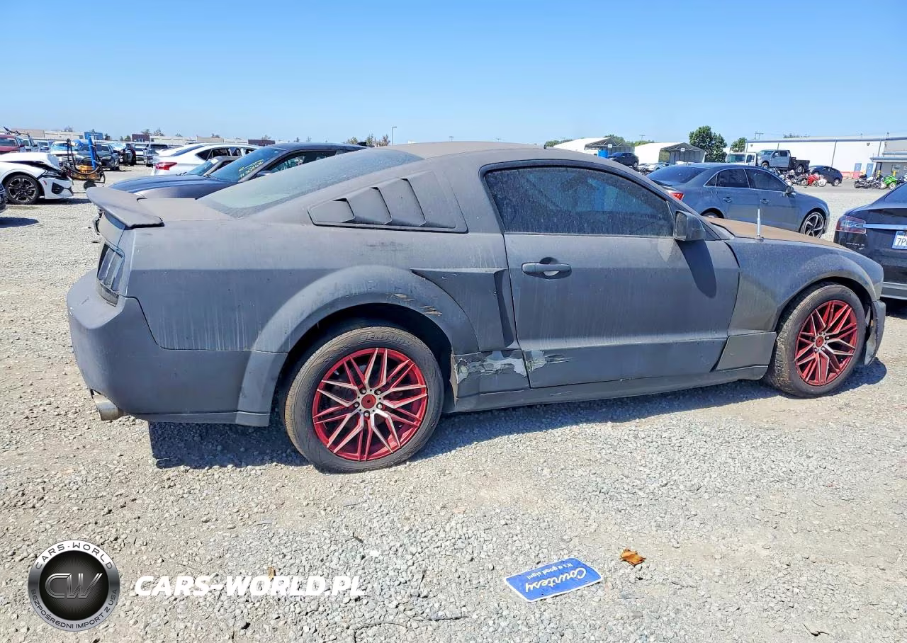 2006 Ford Mustang VIN:1ZVFT80N965249336 - 3
