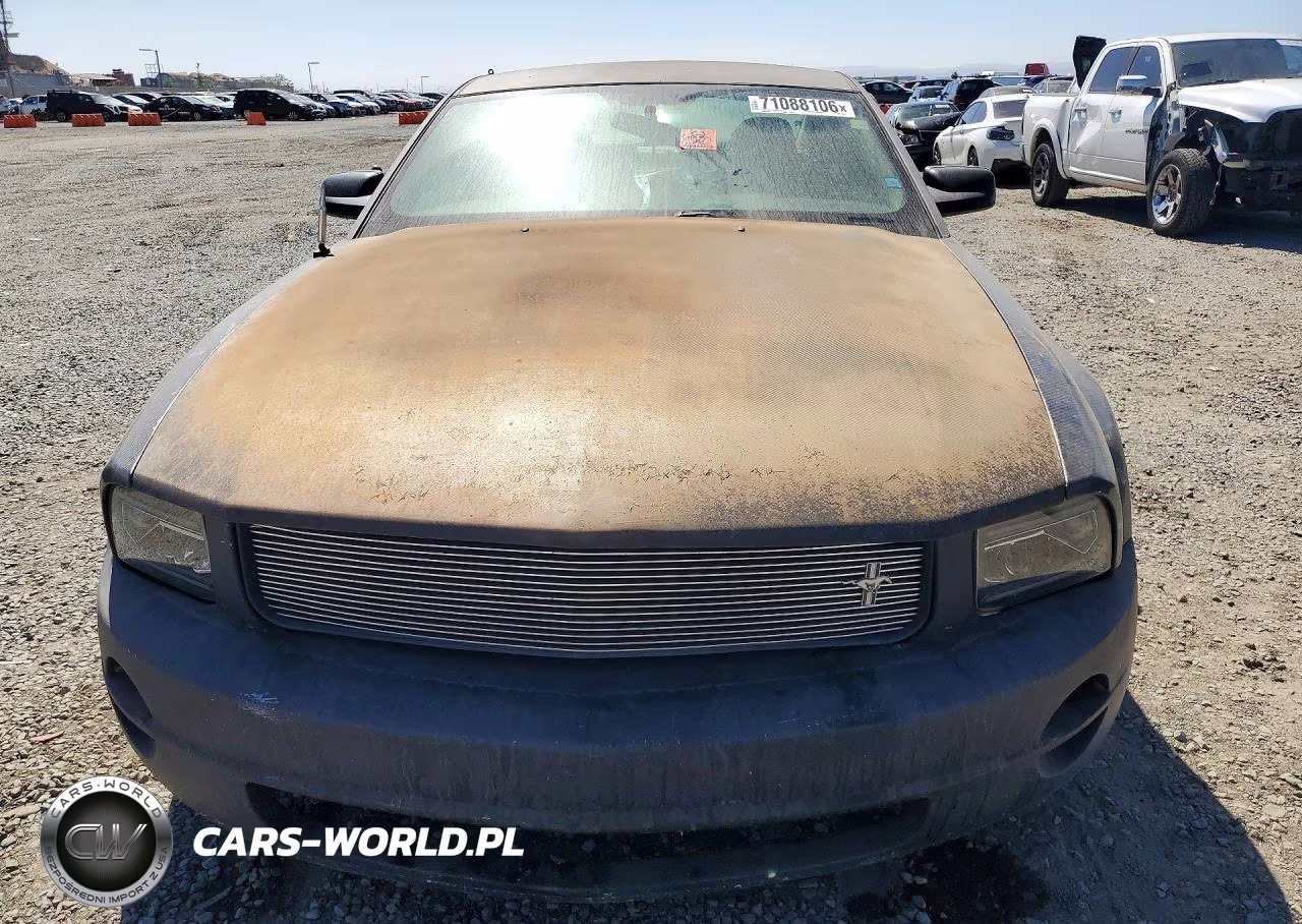 2006 Ford Mustang VIN:1ZVFT80N965249336 - 5
