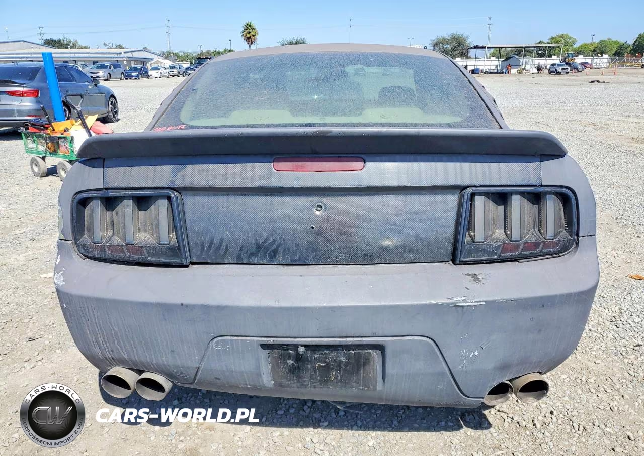 2006 Ford Mustang VIN:1ZVFT80N965249336 - 6