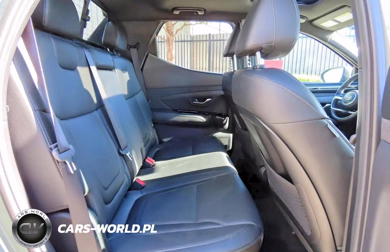 2024 Hyundai Santa Cruz Limited VIN:5NTJEDAF5RH093258 - 6