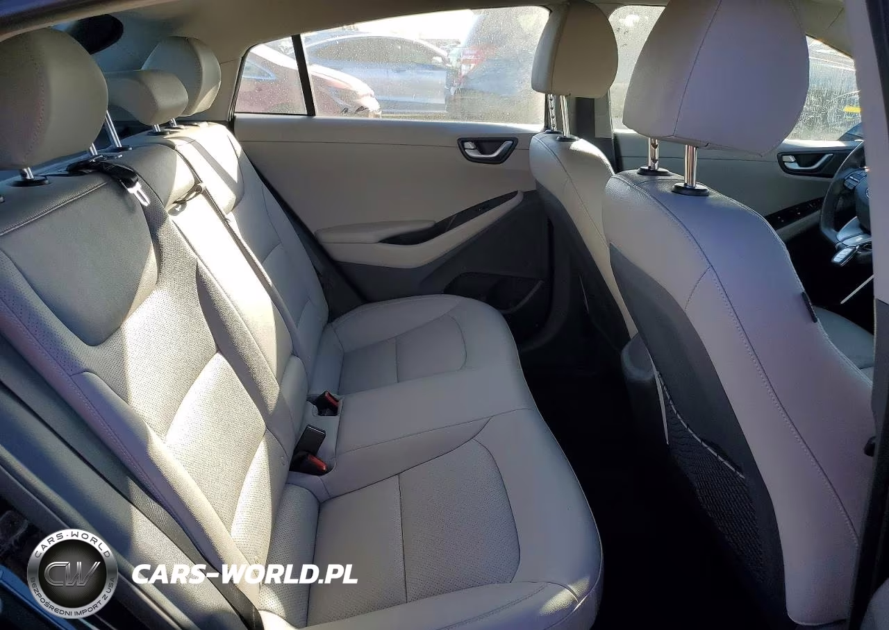 2019 Hyundai Ioniq Limited VIN:KMHC85LC4KU136941 - 10