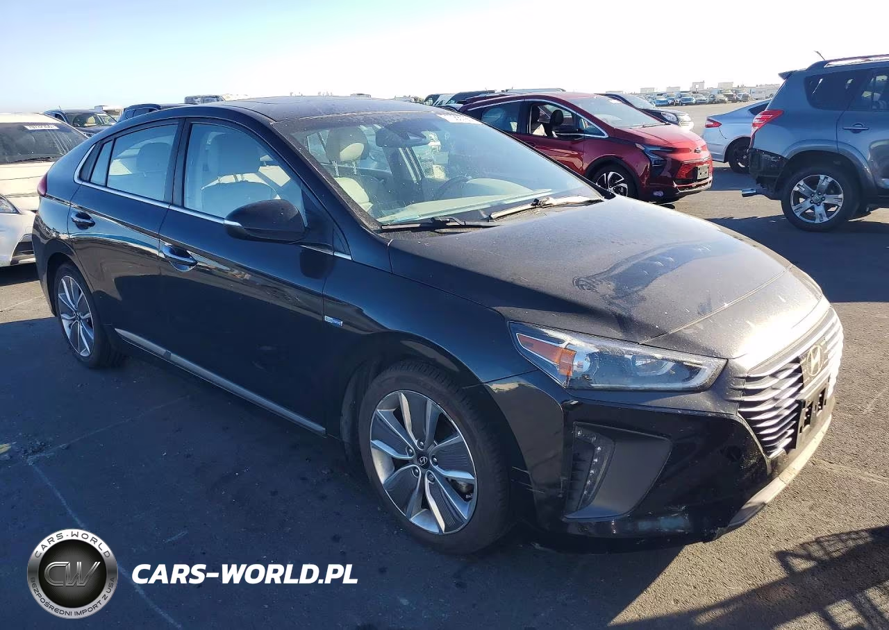 2019 Hyundai Ioniq Limited VIN:KMHC85LC4KU136941 - 4