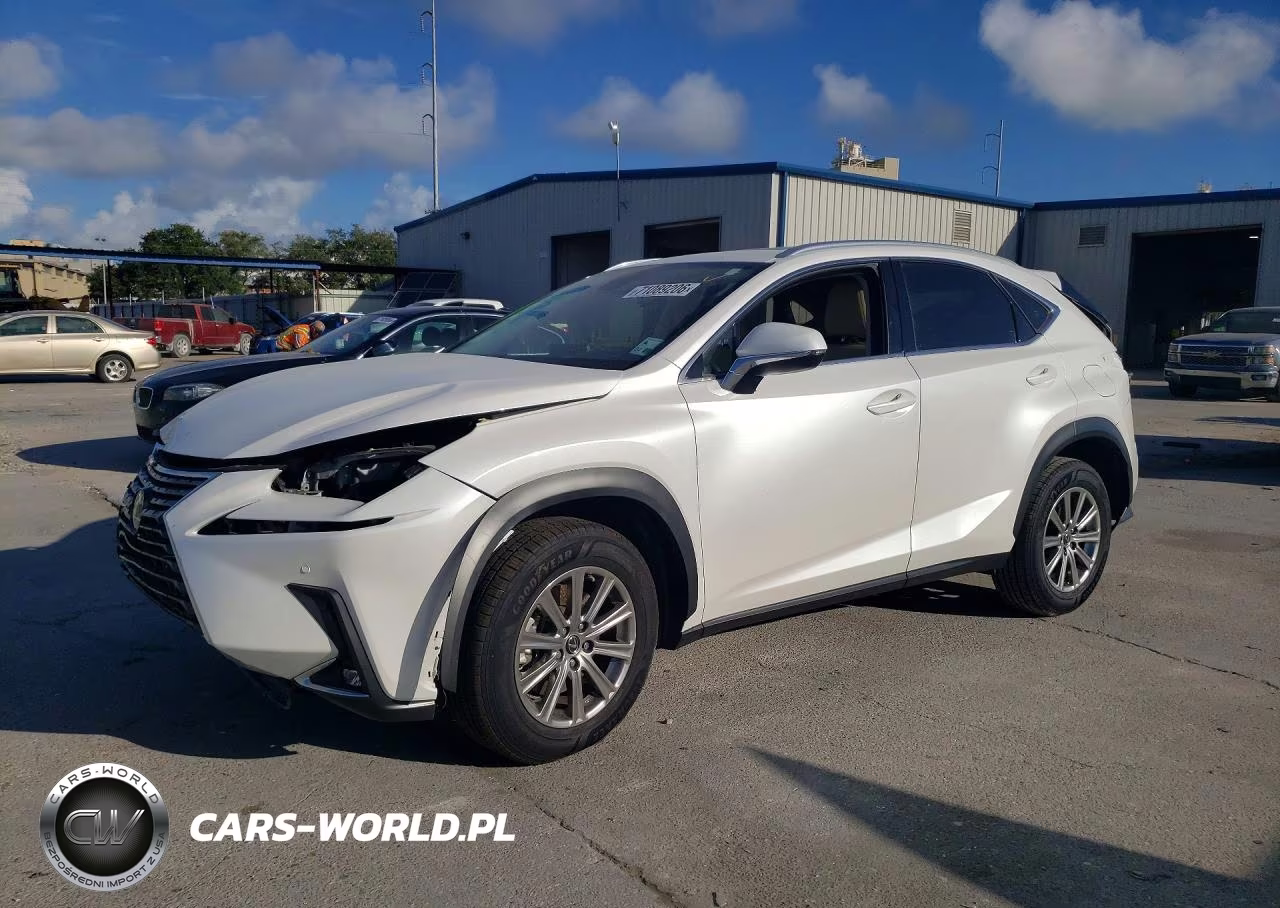 2021 Lexus Nx 300 Base VIN:JTJDARBZ6M5024050 - 1