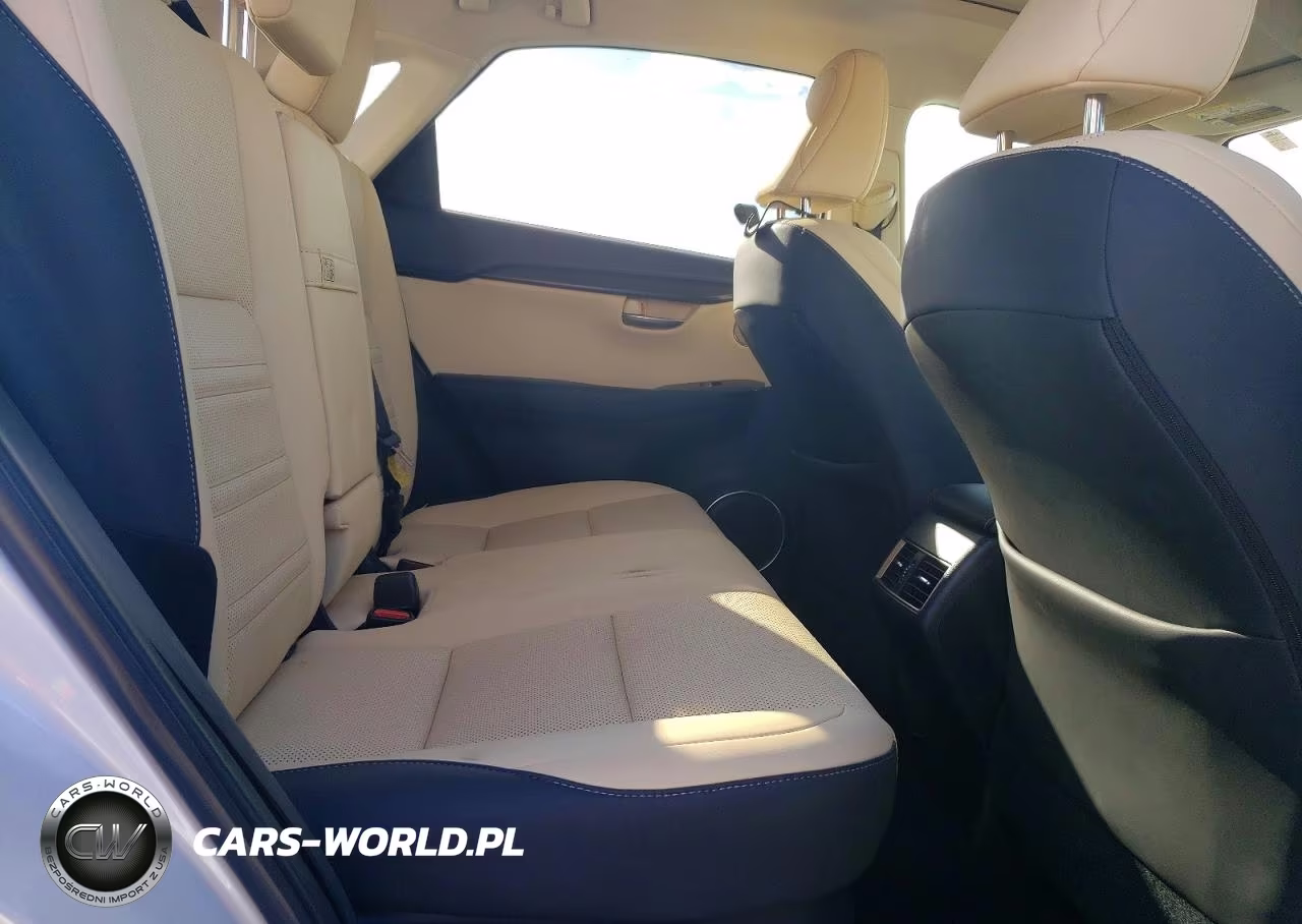 2021 Lexus Nx 300 Base VIN:JTJDARBZ6M5024050 - 10