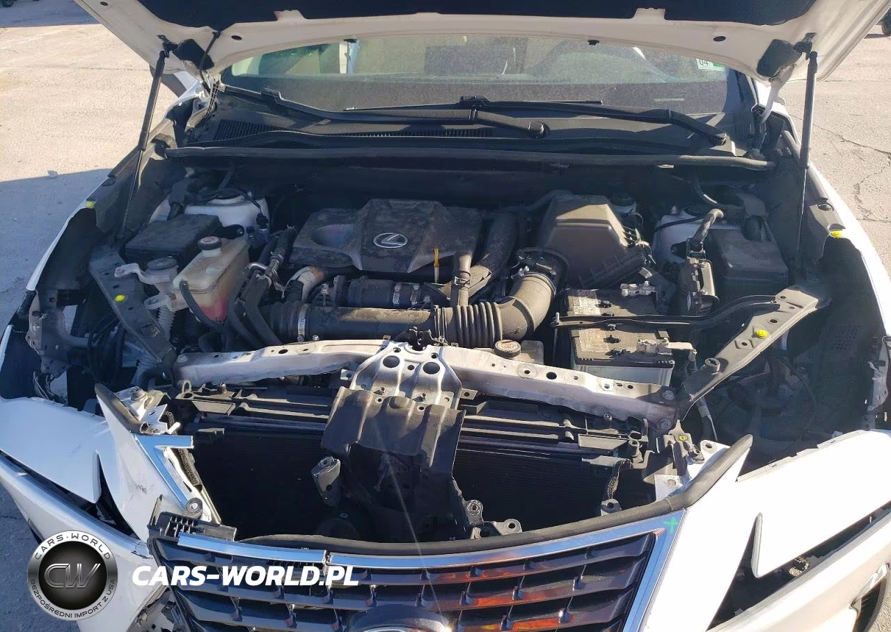 2021 Lexus Nx 300 Base VIN:JTJDARBZ6M5024050 - 11