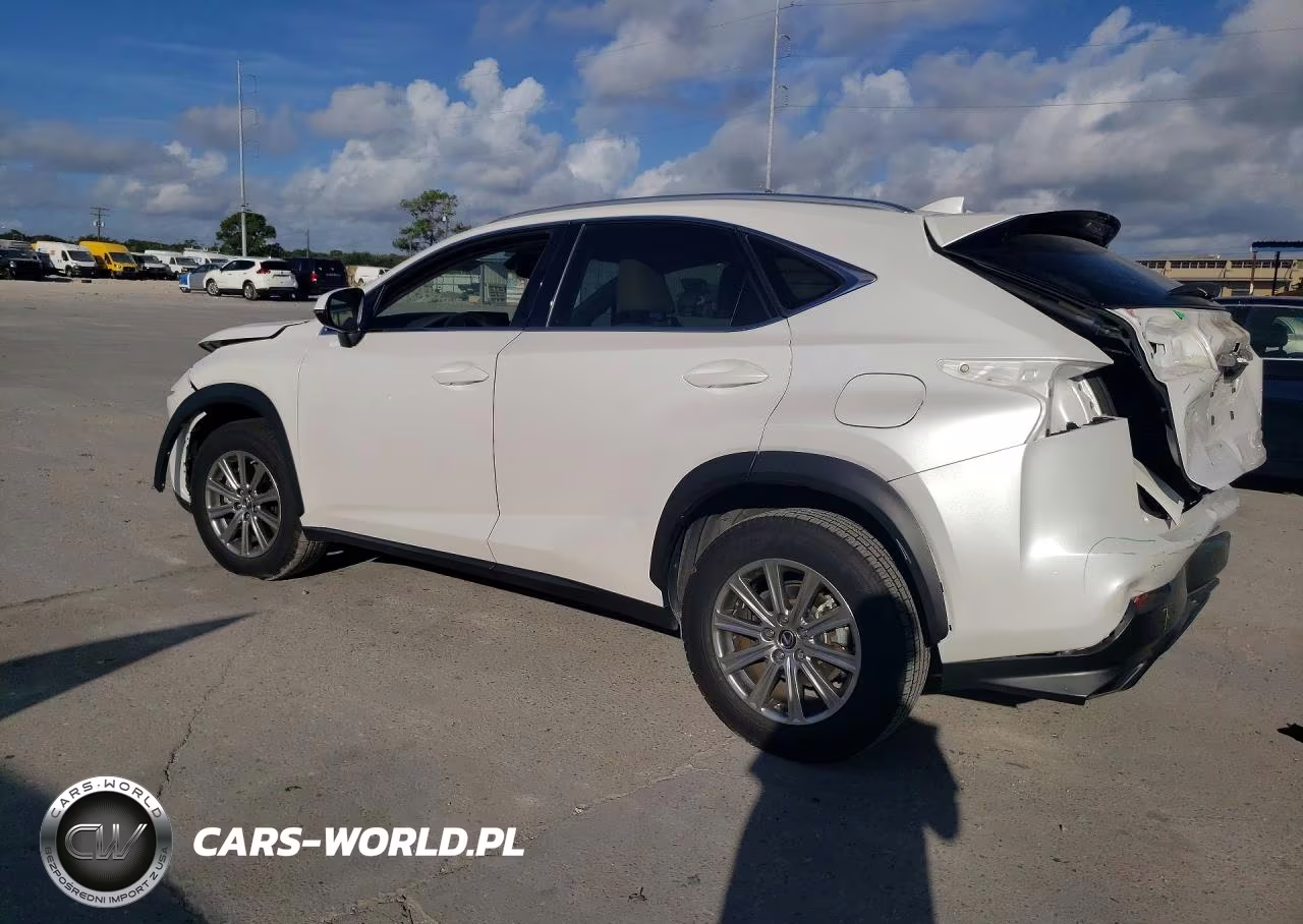 2021 Lexus Nx 300 Base VIN:JTJDARBZ6M5024050 - 2