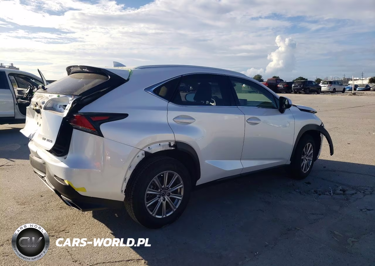 2021 Lexus Nx 300 Base VIN:JTJDARBZ6M5024050 - 3