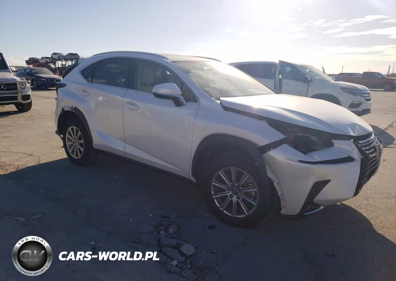 2021 Lexus Nx 300 Base VIN:JTJDARBZ6M5024050 - 4