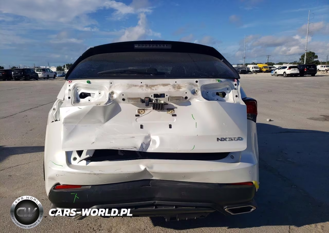 2021 Lexus Nx 300 Base VIN:JTJDARBZ6M5024050 - 6