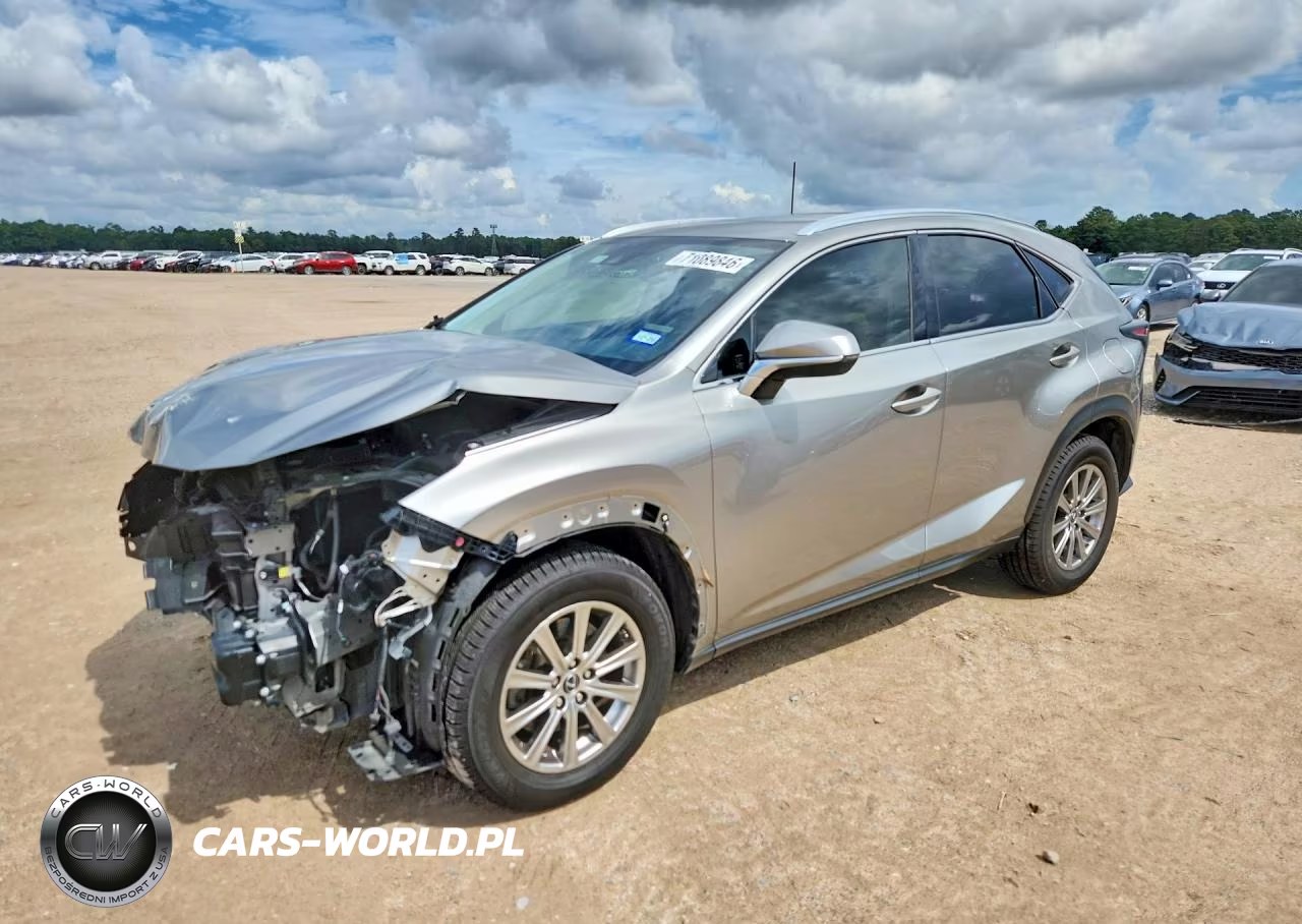2021 Lexus Nx 300 Base VIN:JTJDARBZ4M2182906 - 1