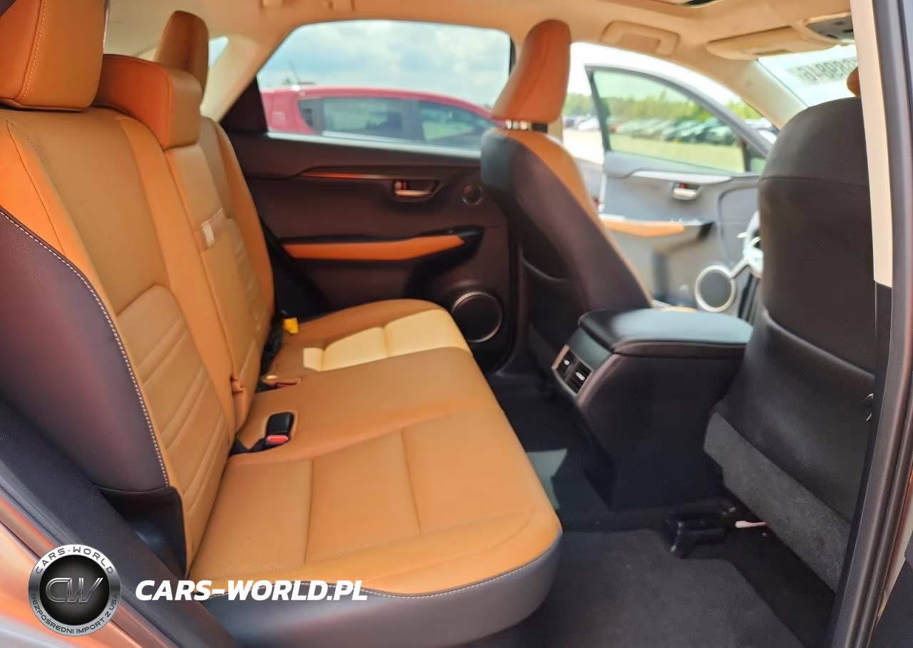 2021 Lexus Nx 300 Base VIN:JTJDARBZ4M2182906 - 11