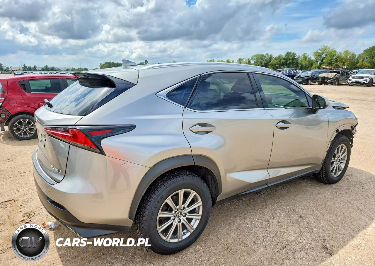 2021 Lexus Nx 300 Base VIN:JTJDARBZ4M2182906 - 3