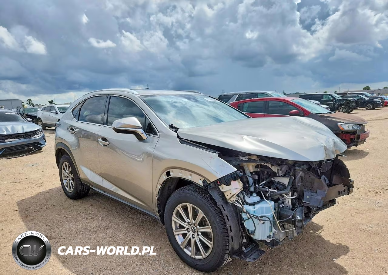 2021 Lexus Nx 300 Base VIN:JTJDARBZ4M2182906 - 4