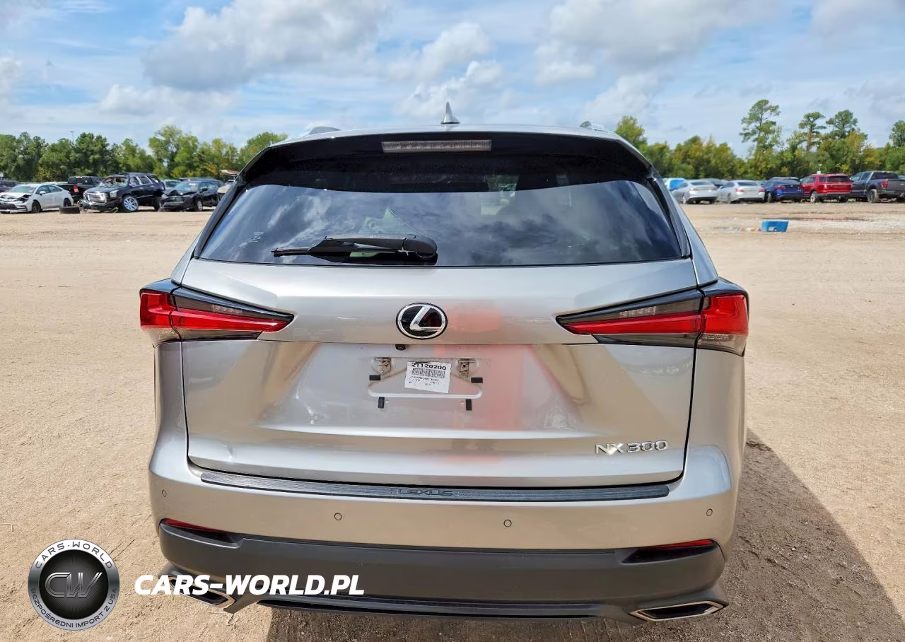 2021 Lexus Nx 300 Base VIN:JTJDARBZ4M2182906 - 6