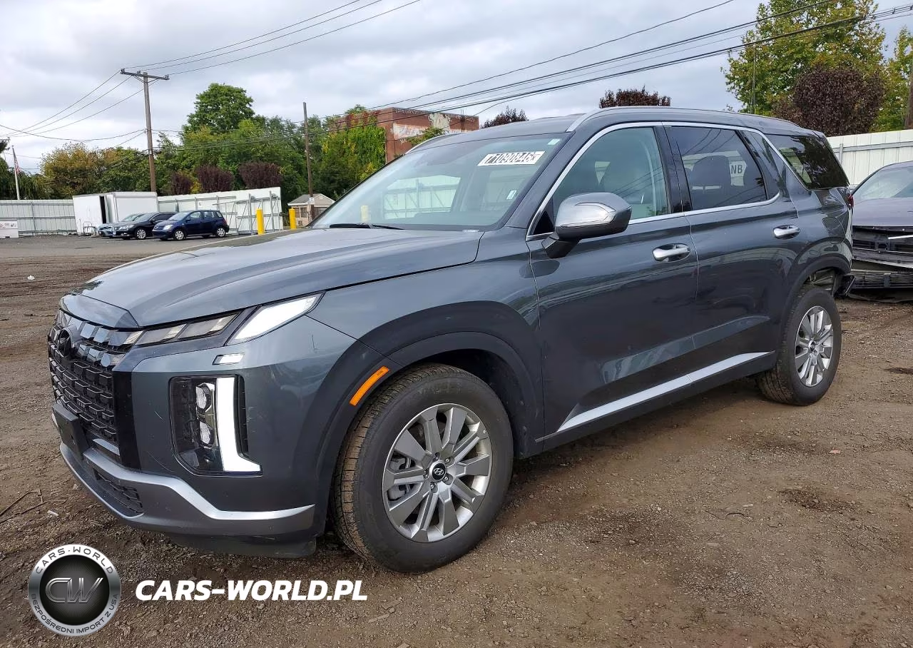 2025 Hyundai Palisade Sel VIN:KM8R2DGE5SU955393 - 1