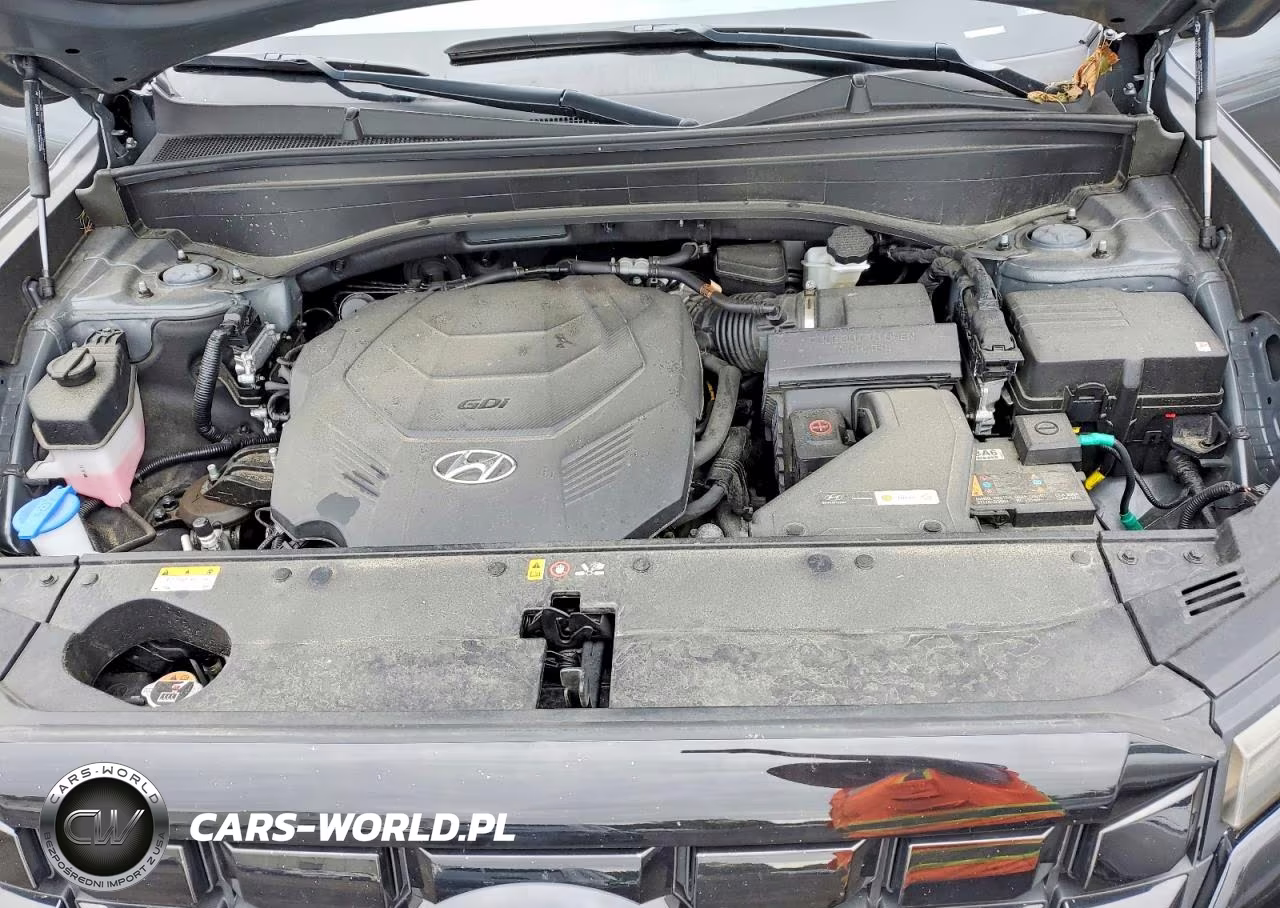2025 Hyundai Palisade Sel VIN:KM8R2DGE5SU955393 - 12