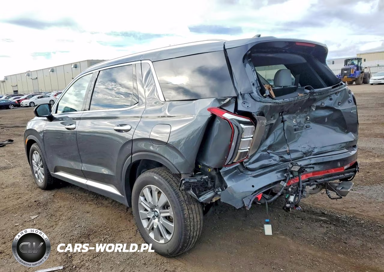 2025 Hyundai Palisade Sel VIN:KM8R2DGE5SU955393 - 2