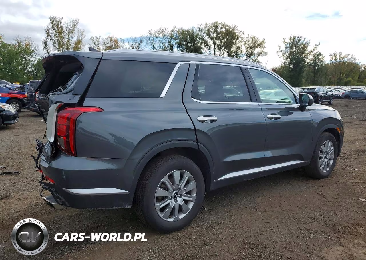 2025 Hyundai Palisade Sel VIN:KM8R2DGE5SU955393 - 3