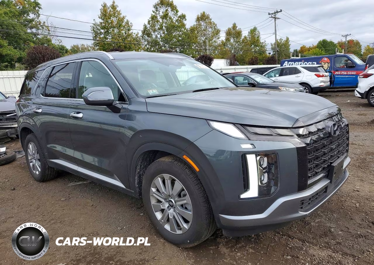 2025 Hyundai Palisade Sel VIN:KM8R2DGE5SU955393 - 4
